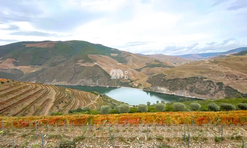 Terreno Agricola ou Rústico para Venda em Vila Seca e Santo Adrião Foto 14