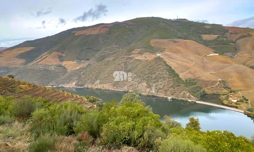 Terreno Agricola ou Rústico para Venda em Vila Seca e Santo Adrião Foto 8