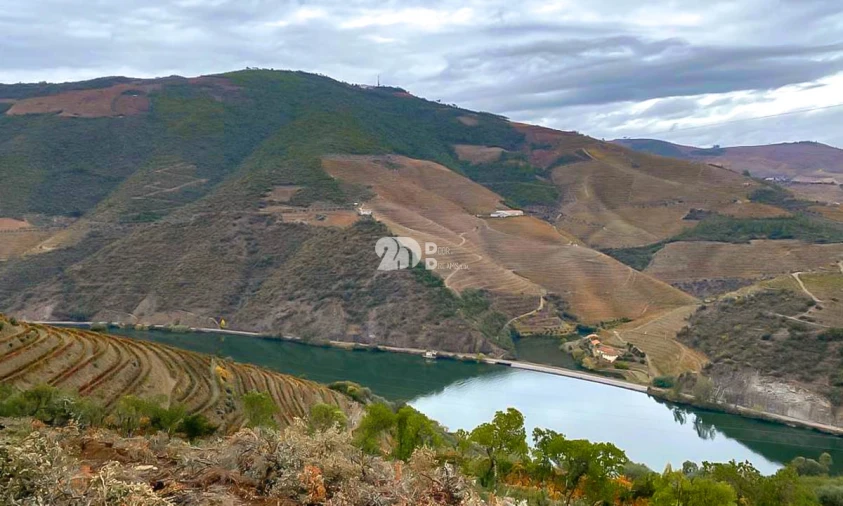 Terreno Agricola ou Rústico para Venda em Vila Seca e Santo Adrião Foto 16
