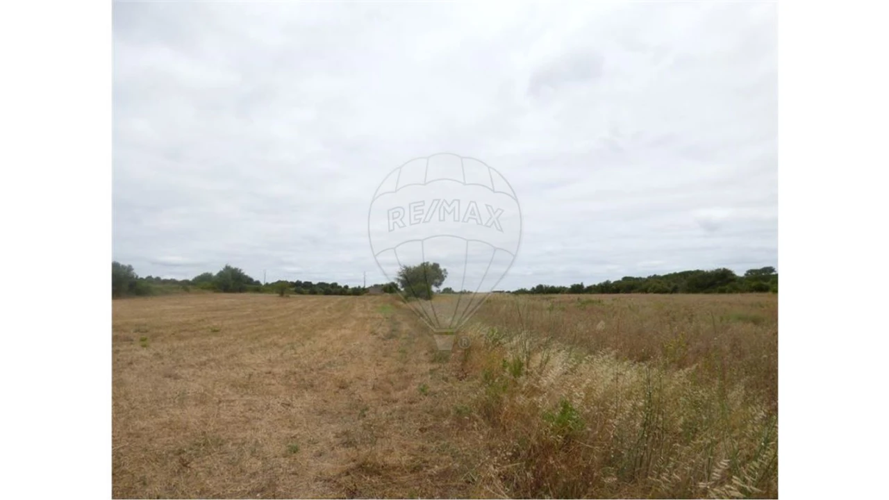 Terreno para Arrendamento em Ereira e Lapa Foto 4