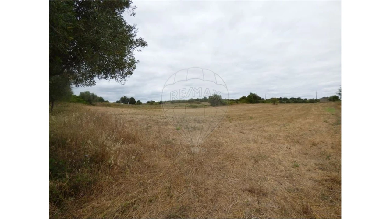 Terreno para Arrendamento em Ereira e Lapa Foto 1
