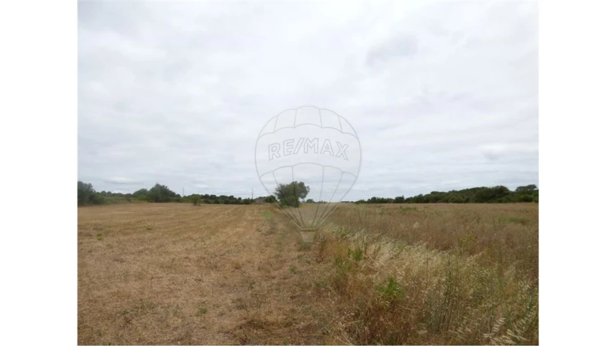 Terreno para Arrendamento em Ereira e Lapa Foto 4