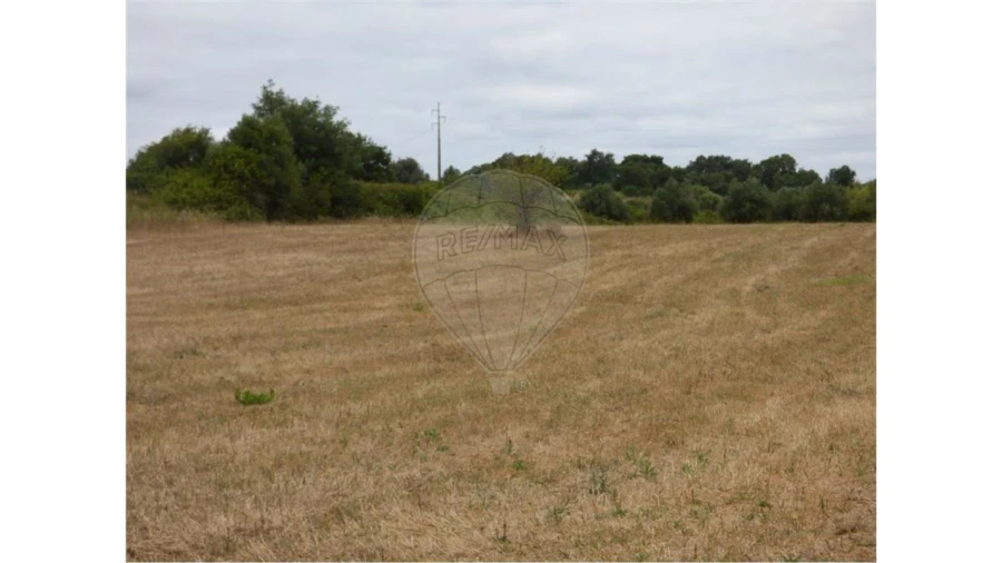 Terreno para Arrendamento em Ereira e Lapa Foto 2