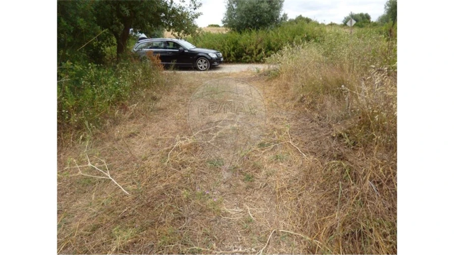 Terreno para Arrendamento em Ereira e Lapa Foto 5