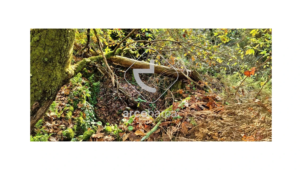 Terreno para Venda em Cabreiro Foto 16