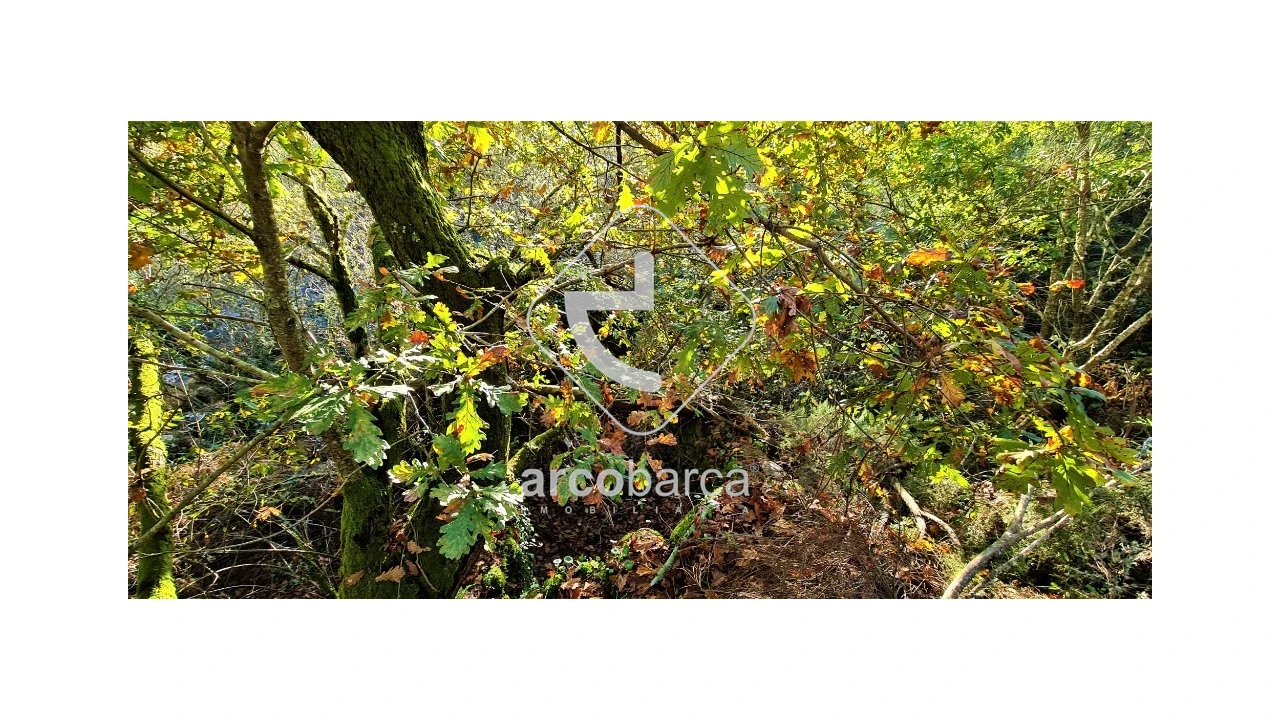 Terreno para Venda em Cabreiro Foto 14