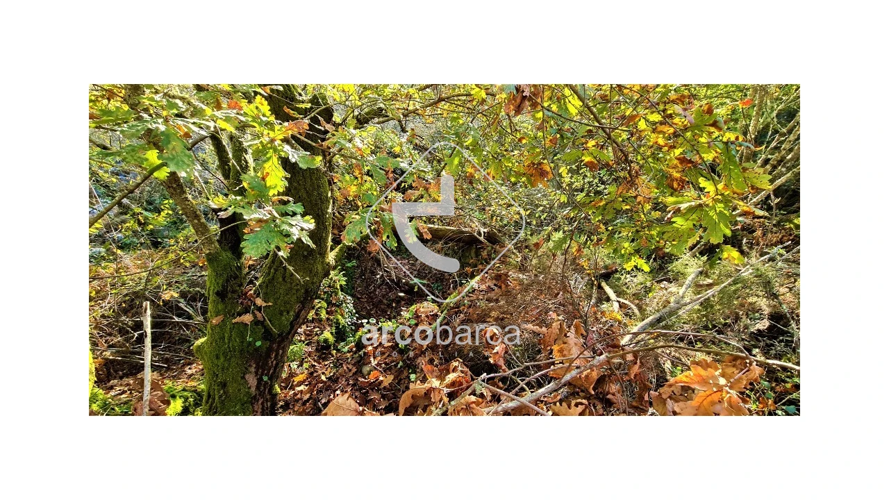 Terreno para Venda em Cabreiro Foto 13