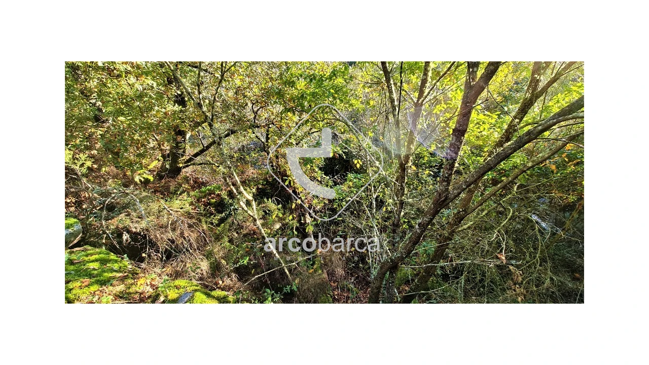 Terreno para Venda em Cabreiro Foto 8