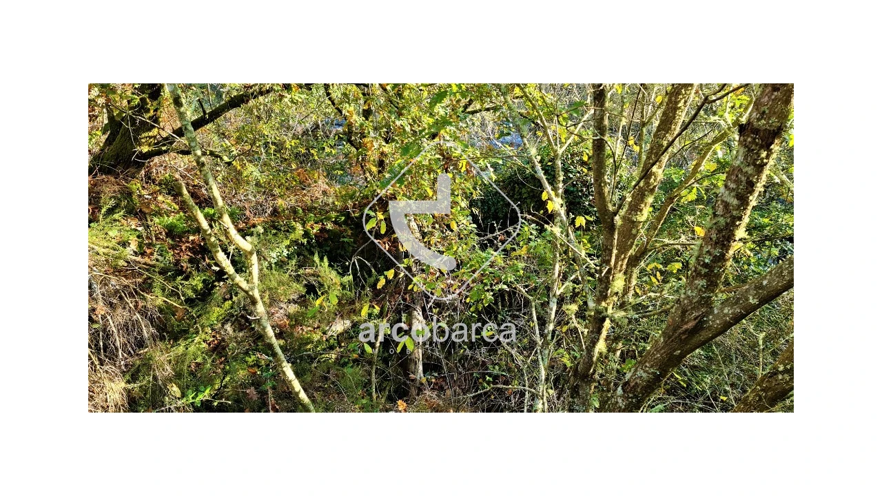 Terreno para Venda em Cabreiro Foto 7