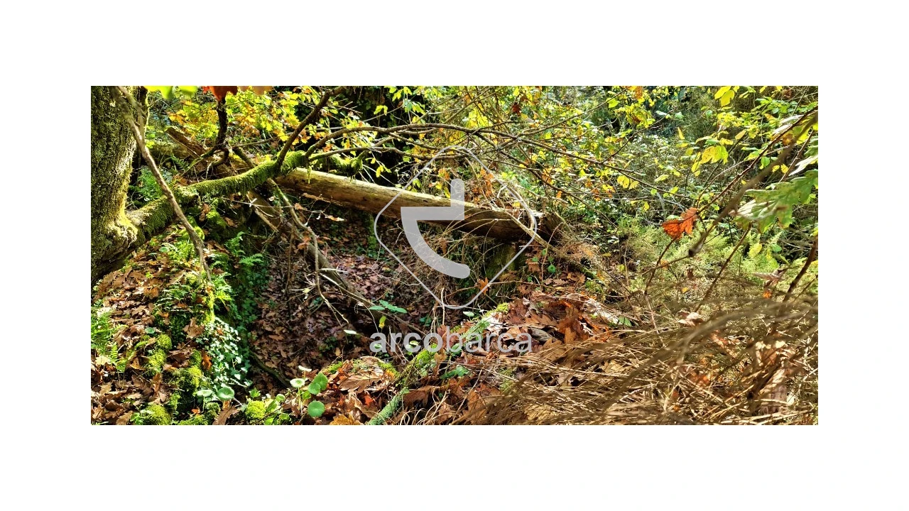 Terreno para Venda em Cabreiro Foto 17