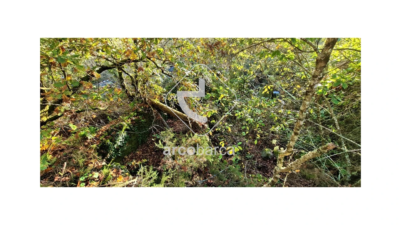 Terreno para Venda em Cabreiro Foto 11