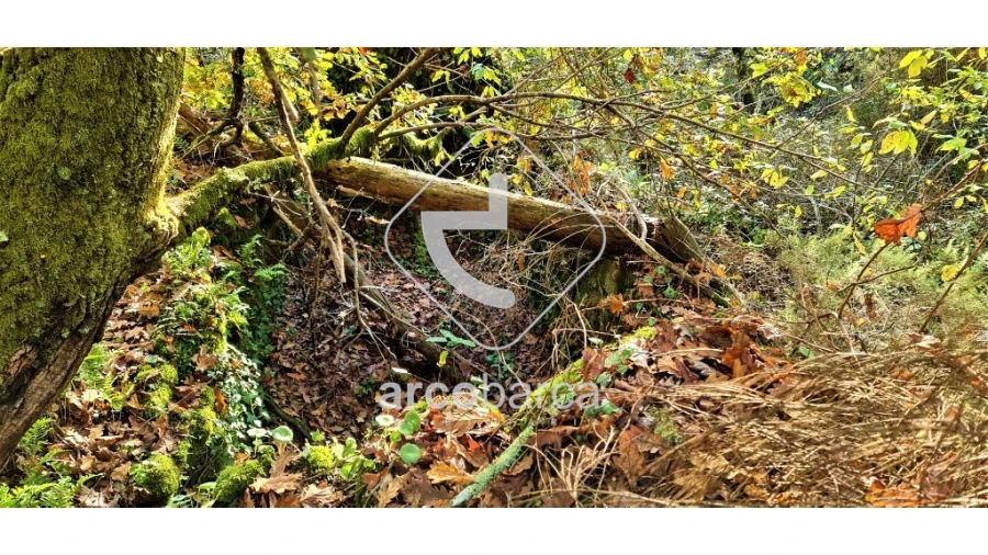 Terreno para Venda em Cabreiro Foto 16