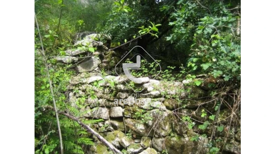 Terreno para Venda em Cabreiro Foto 5