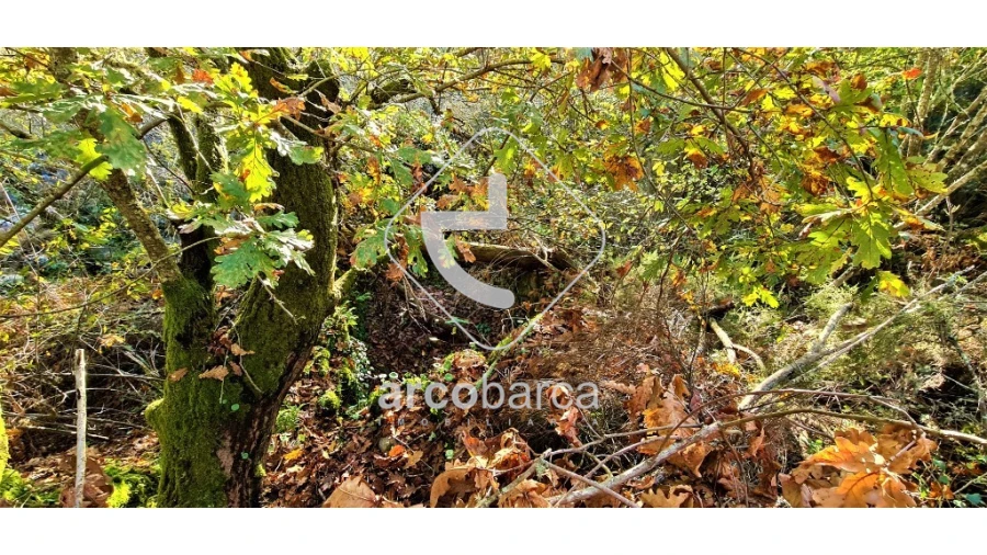 Terreno para Venda em Cabreiro Foto 13