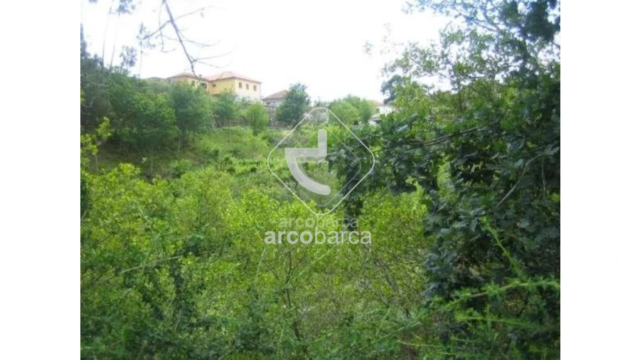 Terreno para Venda em Cabreiro Foto 25