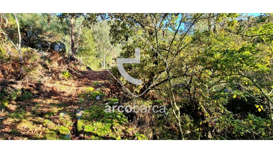 Terreno para Venda em Cabreiro Foto 10