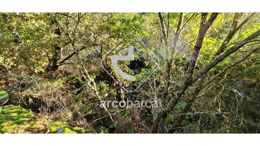 Terreno para Venda em Cabreiro Foto 8