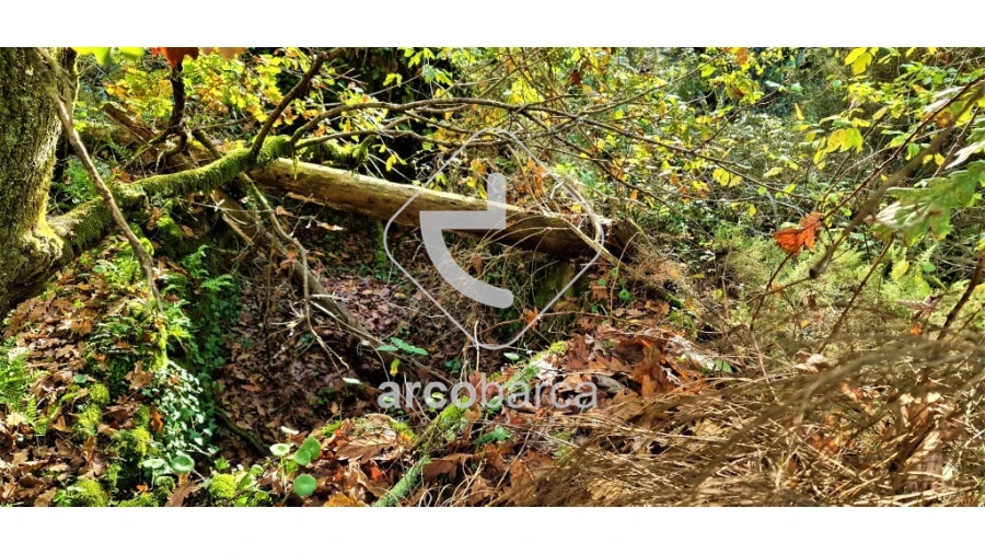 Terreno para Venda em Cabreiro Foto 17