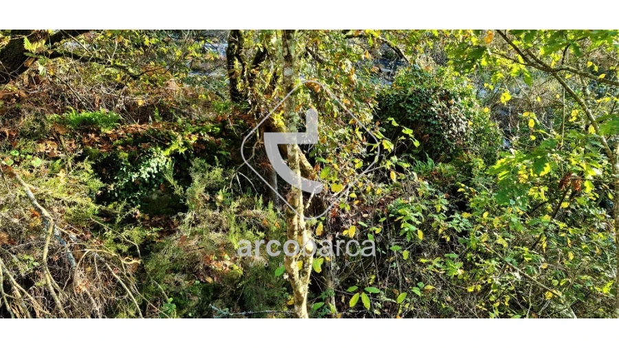 Terreno para Venda em Cabreiro Foto 19