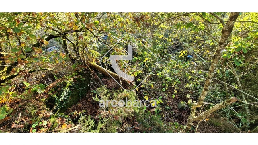 Terreno para Venda em Cabreiro Foto 11