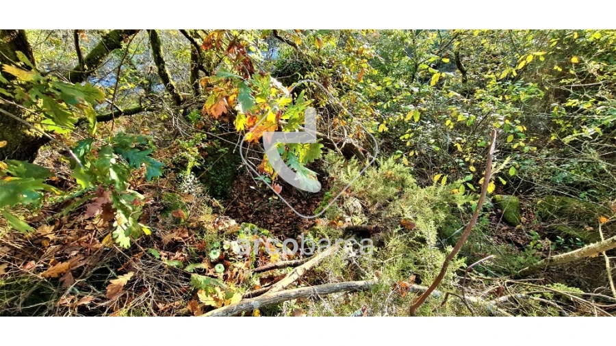 Terreno para Venda em Cabreiro Foto 12