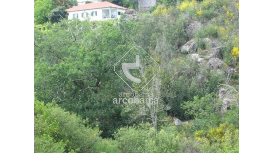 Terreno para Venda em Cabreiro Foto 24