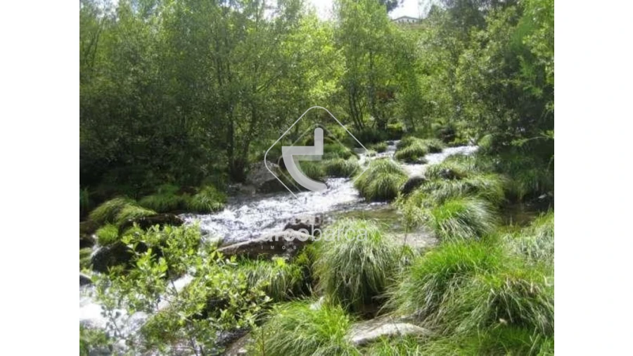 Terreno para Venda em Cabreiro Foto 22