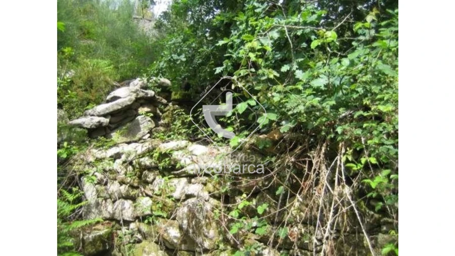 Terreno para Venda em Cabreiro Foto 4