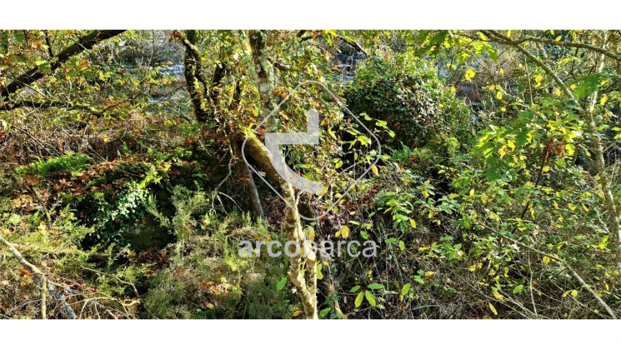 Terreno para Venda em Cabreiro Foto 18