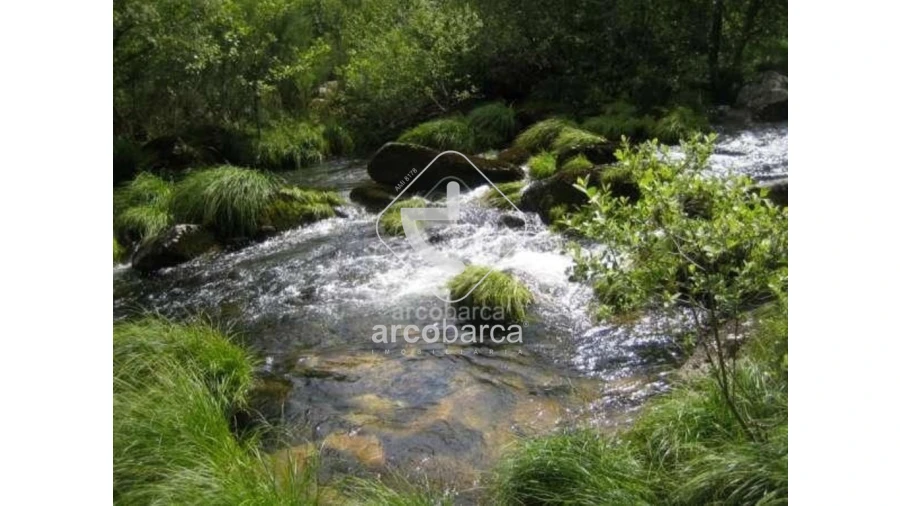 Terreno para Venda em Cabreiro Foto 23