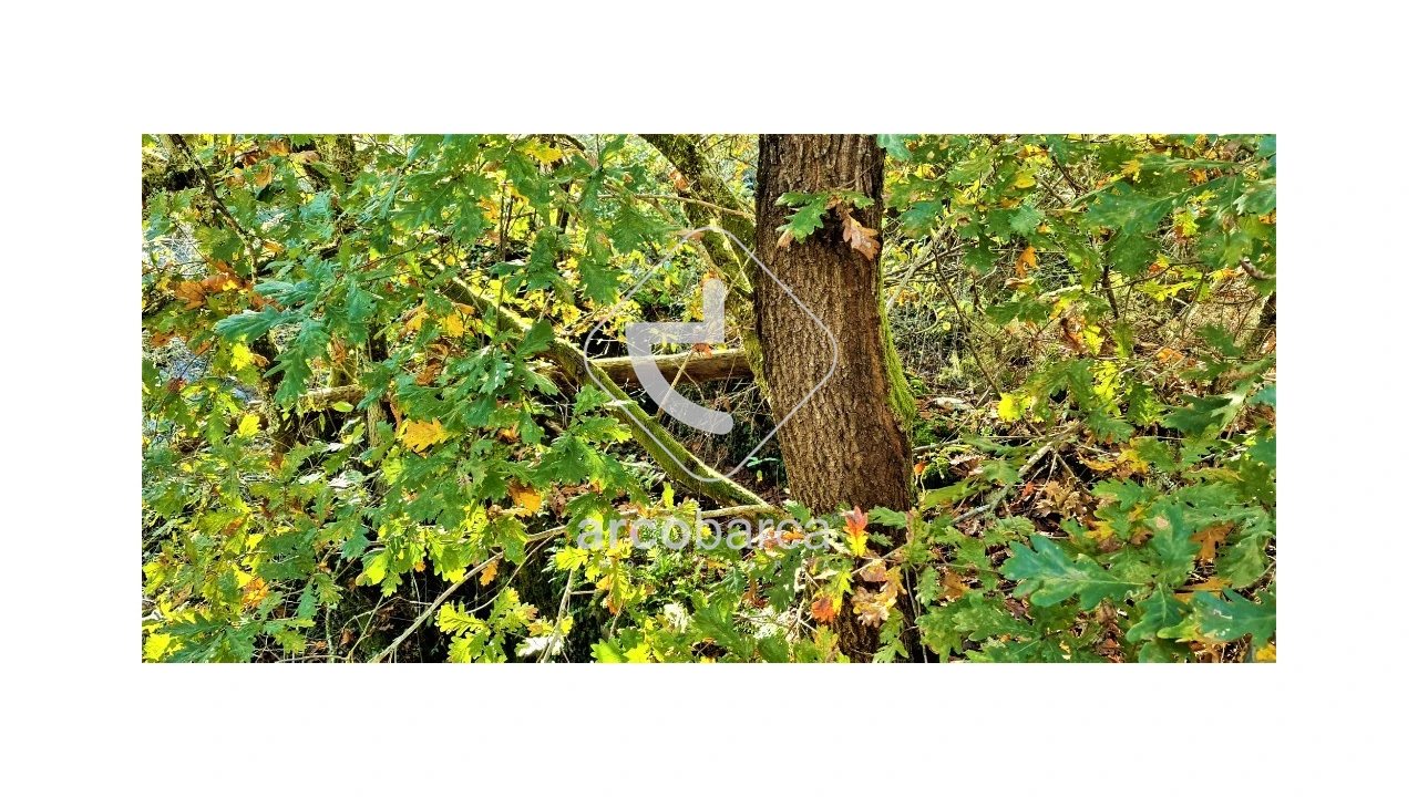 Terreno para Venda em Cabreiro Foto 15