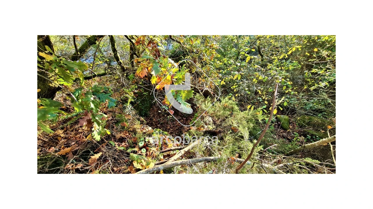 Terreno para Venda em Cabreiro Foto 12