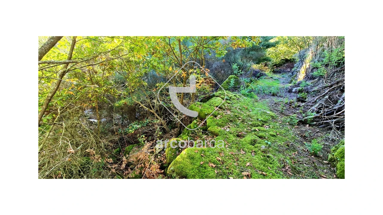 Terreno para Venda em Cabreiro Foto 9