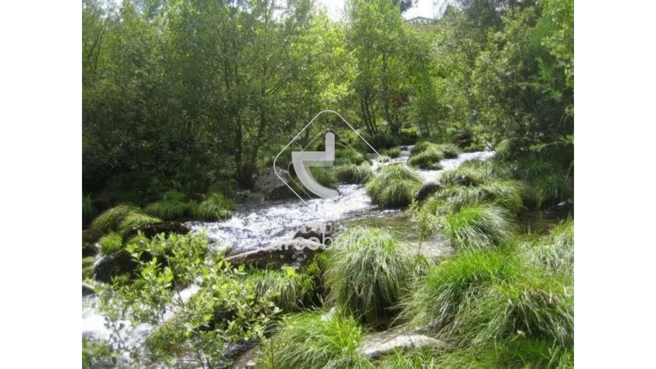 Terreno para Venda em Cabreiro Foto 22