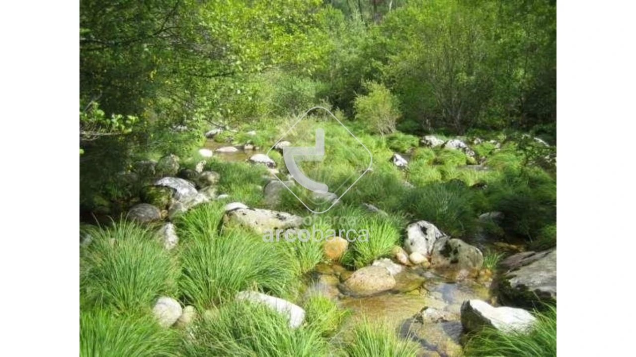 Terreno para Venda em Cabreiro Foto 21