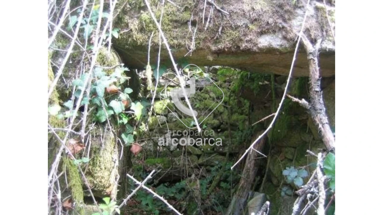 Terreno para Venda em Cabreiro Foto 3