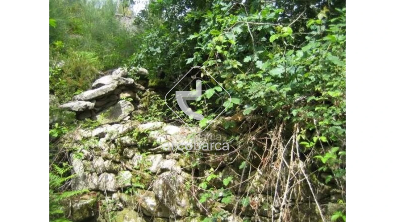 Terreno para Venda em Cabreiro Foto 4
