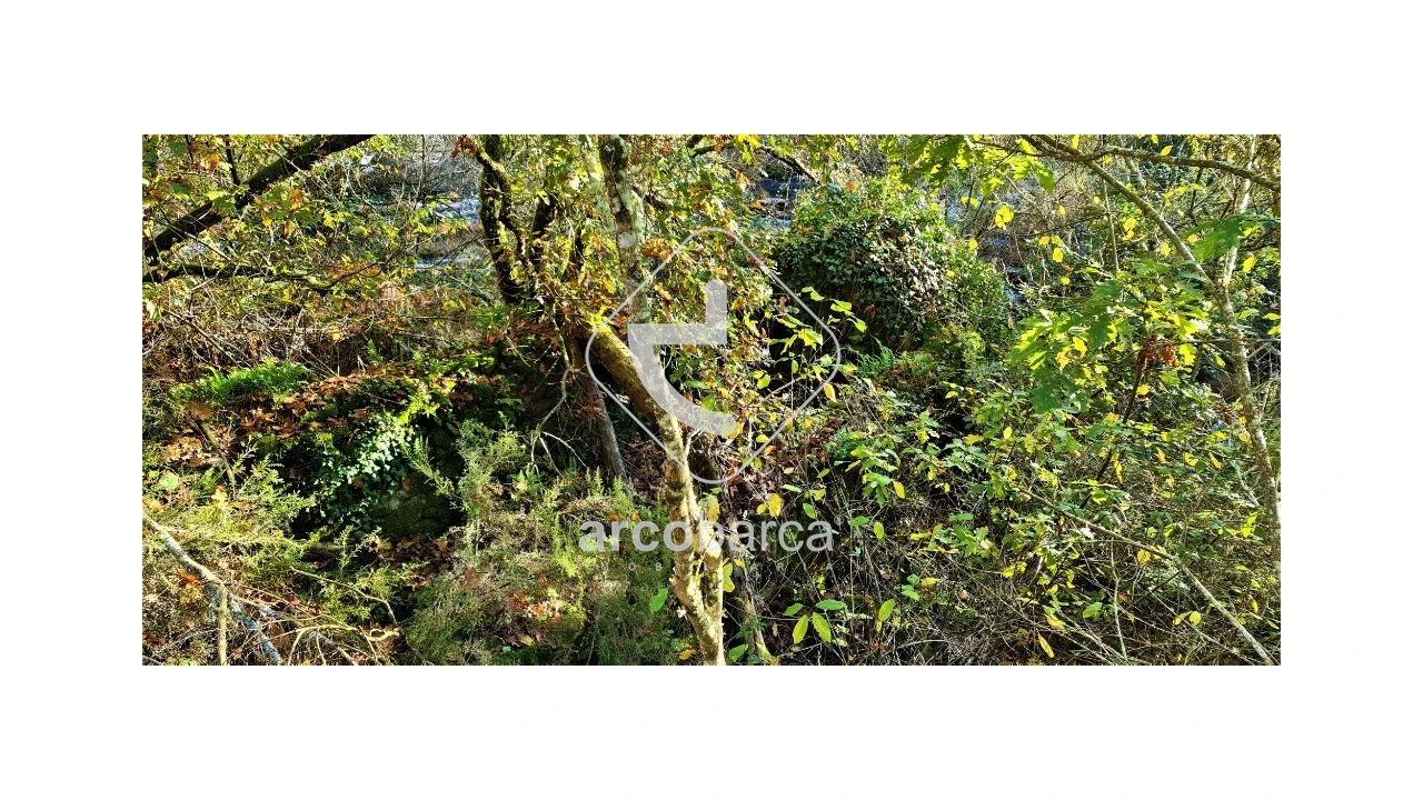 Terreno para Venda em Cabreiro Foto 18