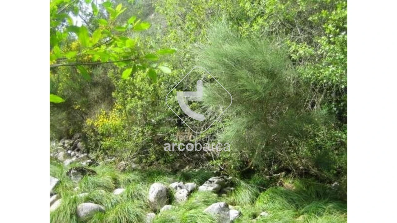 Terreno para Venda em Cabreiro Foto 20