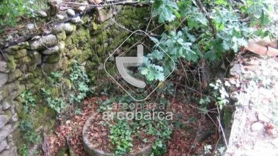 Terreno para Venda em Cabreiro