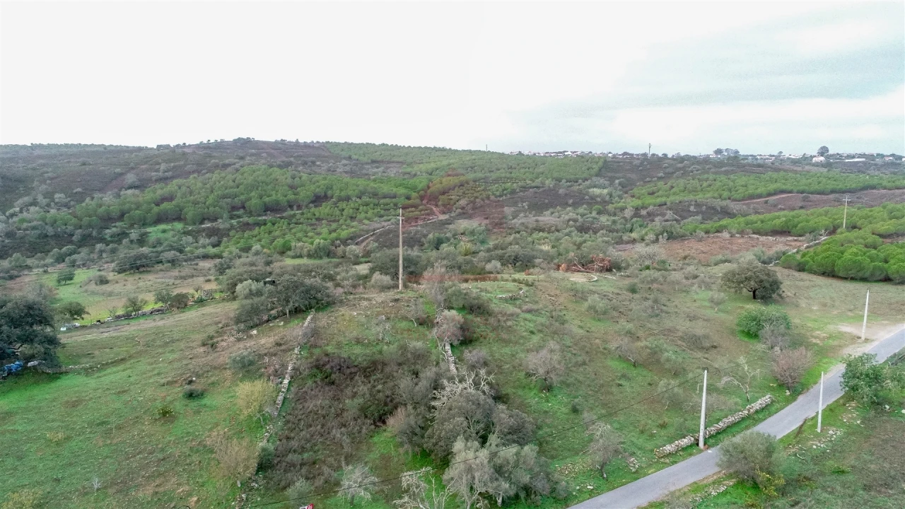 Terreno Agricola ou Rústico para Venda em Alcoutim e Pereiro Foto 1
