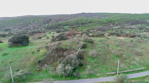 Terreno Agricola ou Rústico para Venda em Alcoutim e Pereiro