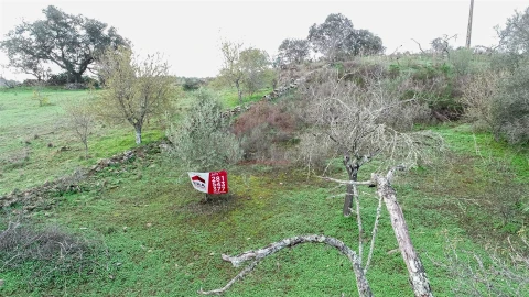 Terreno Agricola ou Rústico para Venda em Alcoutim e Pereiro