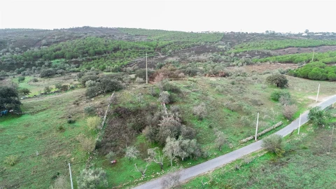 Terreno Agricola ou Rústico para Venda em Alcoutim e Pereiro