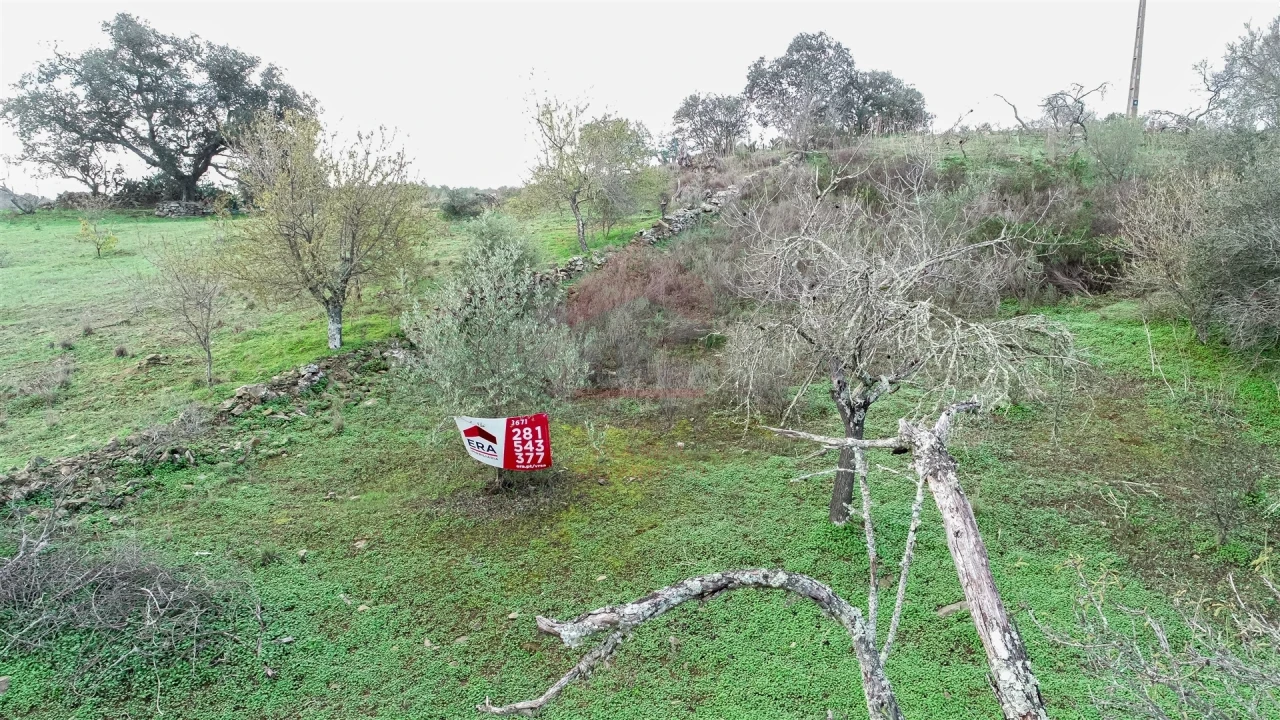 Terreno Agricola ou Rústico para Venda em Alcoutim e Pereiro Foto 4