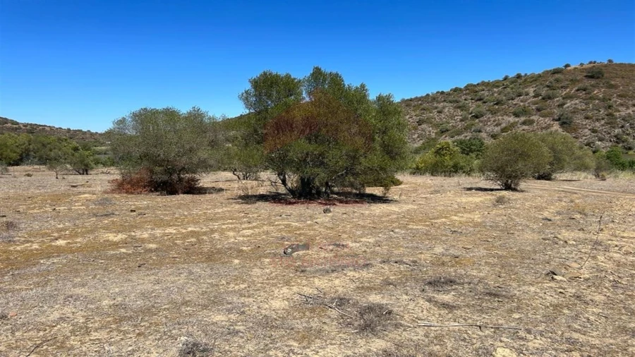 Terreno Agricola ou Rústico para Venda em Alcoutim e Pereiro Foto 4