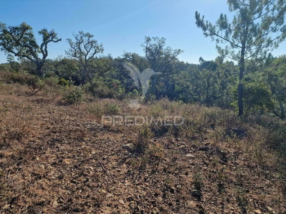 Terreno para Venda em São Francisco da Serra Foto 14