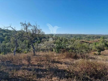 Terreno para Venda em São Francisco da Serra