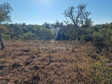 Terreno para Venda em São Francisco da Serra