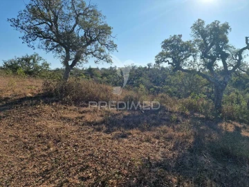 Terreno para Venda em São Francisco da Serra